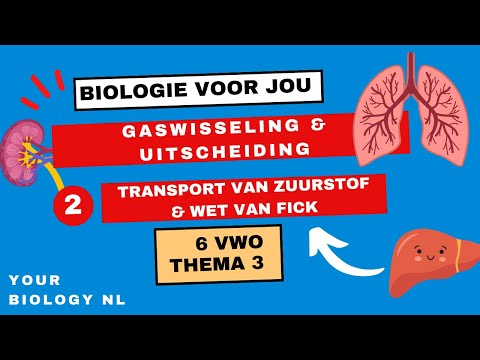 Video: Wat is het belang van de wet van Fick?