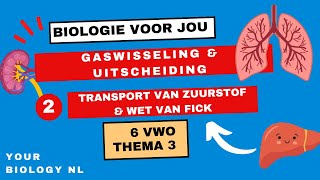 6 vwo | Gaswisseling & Uitscheiding | 2 | Gaswisseling II: Transport van zuurstof & wet van Fick