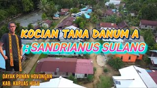 KOCIAN TANA DANUM A || Lagu Viral Dayak Punan Hovongan || Sandrianus Sulang