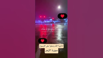 إنك ميت وإنهم ميتون | الشيخ ياسر الدوسري | سورة الزمر