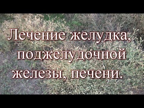 Лечение желудка, поджелудочной железы, печени. Рецепты от бабушки Любы.