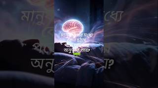 মানুষ ঘুমের মধ্যে কেন হঠাৎ পড়ে যাওয়ার অনুভূতি পায়? #motivational #motivat #inspire #MSobuj #suscribe