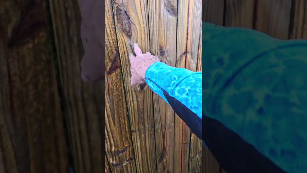 Cheap enhancement to curb appeal on the home! Wooden fence restoration and updating.