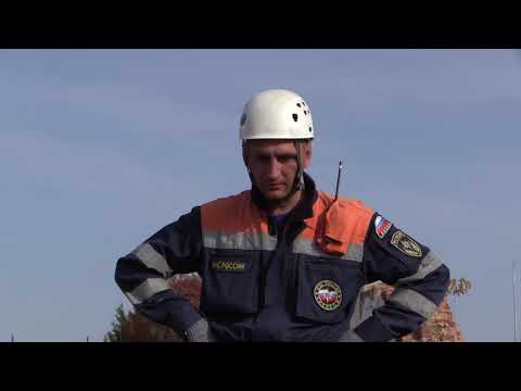 Кинологические расчеты МЧС