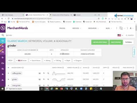 How to use MerchantWords  114