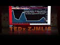 Economic crisis and opportunities during COVID-19 | Elena Liu | TEDxYouth@ZJMLIS