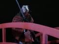 RED BRIDGE [stop motion animation]