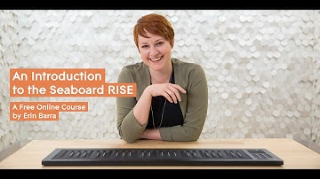 An Introduction to the Seaboard RISE: 2.1 - STRIKE