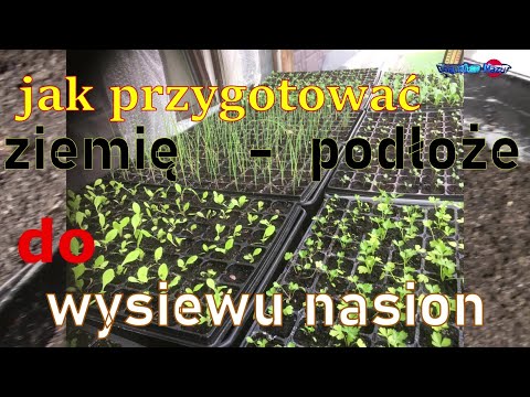 Wideo: Jak urzędnicy ustanawiają cyfrowe niewolnictwo obywateli?