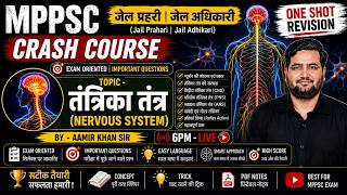 Nervous System in Hindi | MPPSC Crash Course | तंत्रिका तंत्र One Shot Revision by Aamir Sir