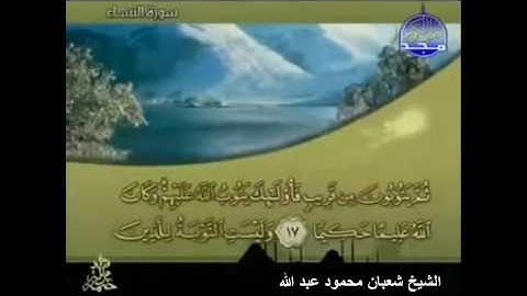 004 -- سورة النساء " الشيخ شعبان محمود عبد الله " تراويح رمضان 2016 بمد المنفضل " mohamed basyouni