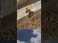 Watch how easily this nasty knot disappears. The sanding at the end is so satisfying!