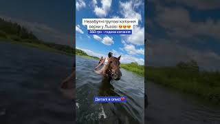 🐎 Прогулянка на конях біля Львова — всього 350 грн! #львів