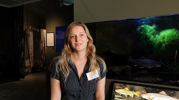 Linnéa Ekelöf - Interview [LAKESCAPE 2025]