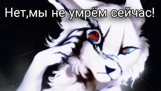 картинка: КОТЫ ВОИТЕЛИ КЛИП МЫ НЕ УМРЕМ СЕЙЧАС!