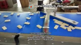 Automatic Wafer biscuit feeding system horizontal pillow packaging machine with producing line Taich