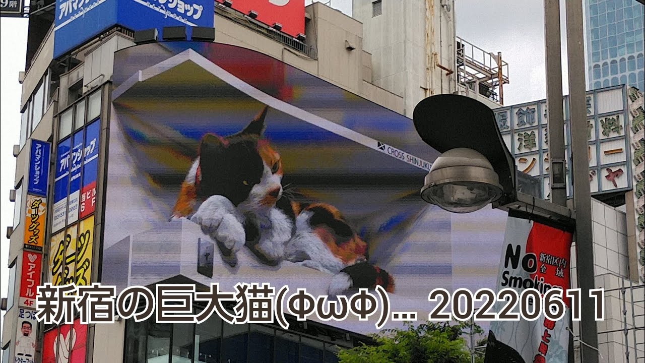 新宿の巨大猫 Fwf 22 0611 新宿東口 三毛猫 Youtube