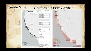 White Sharks (Part 2 of 2)