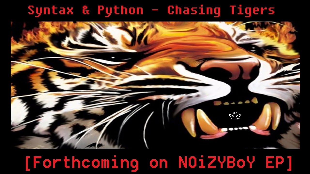 Syntax & Python Chasing Tigers [Forthcoming on NOiZYBoY EP] - YouTube