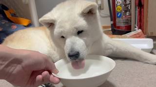 子育て生活3か月目にして最大のピンチが訪れました。