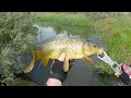 INSANE MUD MARLIN SESSION!