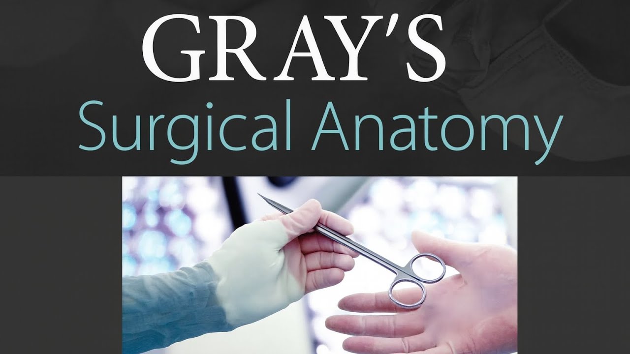 ГЛАВА 78 - Иннервация и блокада нервов нижней конечности