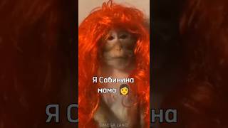 Я Сабинина мама 👩 #rek #monkey #ещкере #omega #brother #браток #а4 #майнкрафт #роблокс #tiktok