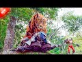 A giant mechanical tiger attacks the autobots   explain in hindi 