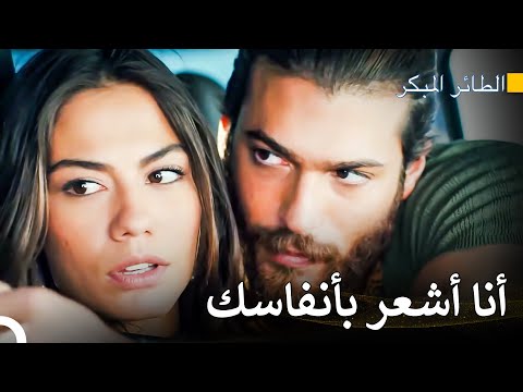 أنا أسير برائحتك سلسل الطائر المبكر
