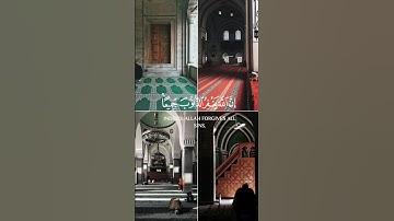 لا تقنطوا من رحمه الله|| تلاوة خاشعة||أكتب شيء تؤجر عليه|| #قرآن