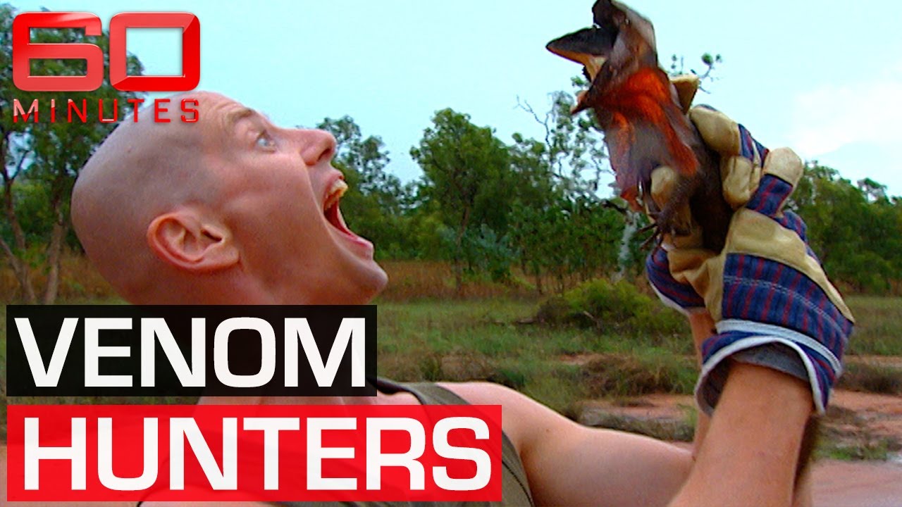 Up close and personal with Australia's deadliest creatures | 60 Minutes Australia