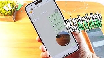 Record your video call in WhatsApp iPhone 15 (Plus, Pro, & Pro Max)