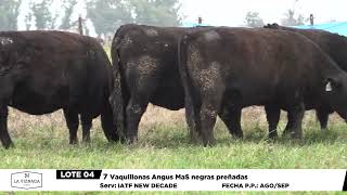 Lote 04   La Viznaga   Belgrano