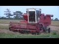 Guyana, Combine Rice Harvesting at Ruimzeight W C D (HD)