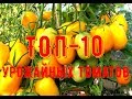 ТОП -10 урожайных томатов!