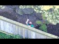 San Francisco Police Open Fire on Suspect Waving Gun Over Fence