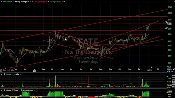 APOP, MARK, OSTK, VKTX - Harry Boxer, TheTechTrader.com