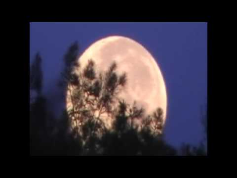 أنشودة كان عندي قمر