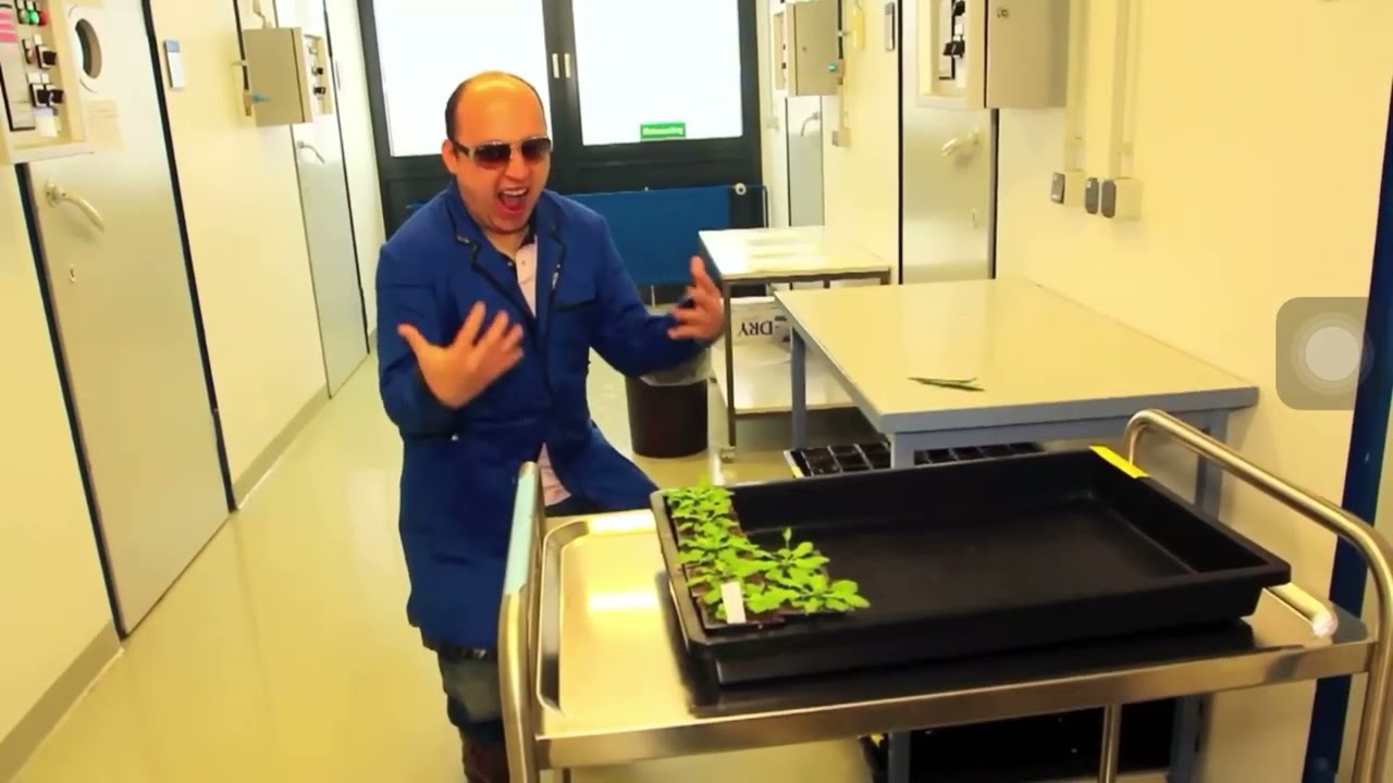 PSY GANGNAM Style Working weigel Style Reversed