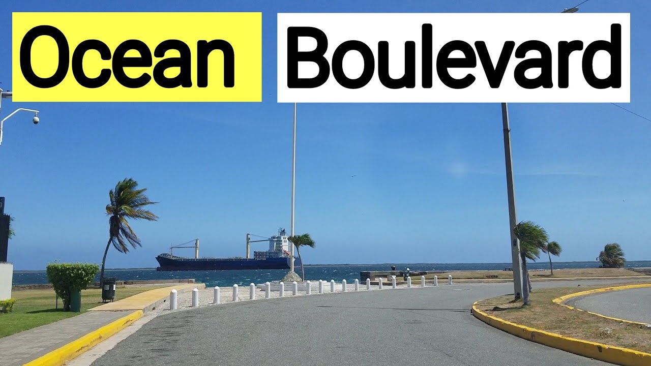 Ocean Boulevard | Kingston