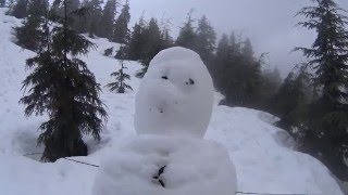 Hollyburn Trail - An Evening Stroll