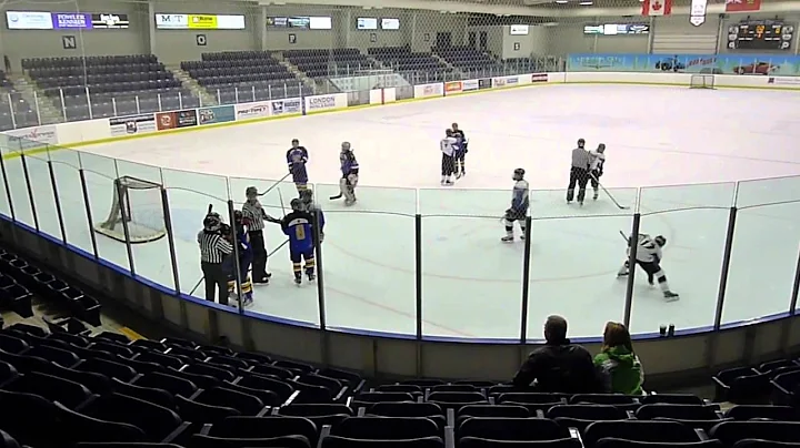 Hockey game ending hockey fight