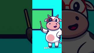 Why USACO Feels Impossible at First