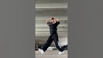 PAINT THE TOWN RED Doja Cat Dance Cover 