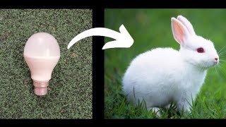 How To Make Rabbit 🐇With Bulb💡|Rabbit🐰 Making With Cotton|Diy Crafts|Bunny🐰|Viral|Trending Video