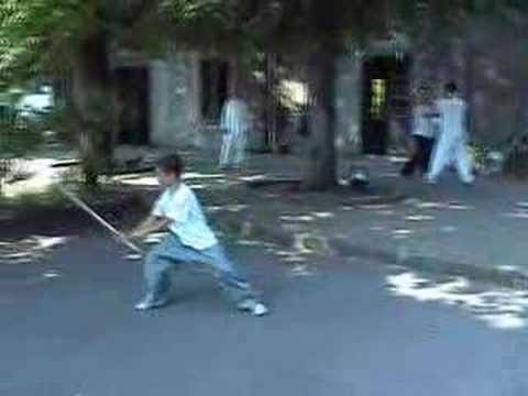 Chen Shi Taiji Jian (Chen Style Taiji Sword) - Spada Taiji