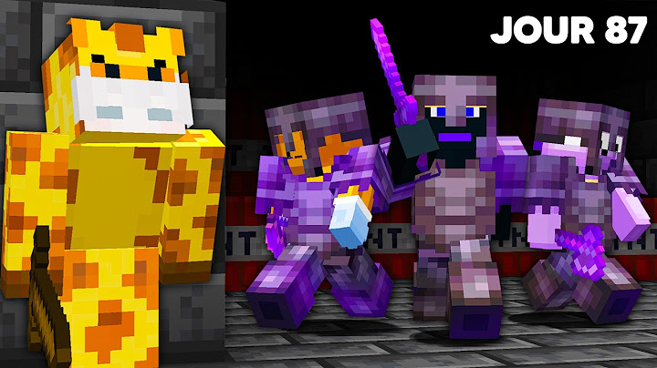 100 Jours sur le Serveur le plus MORTEL de Minecraft..