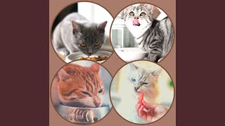 Spacious Backdrops for The Happiest Cats