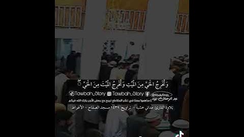 من أجمل التلاوة لشيخ مداني بدر الدين خشبة حفظه الله