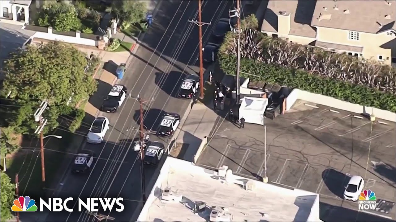 Son of Hollywood executive arrested on suspicion of wife’s murder